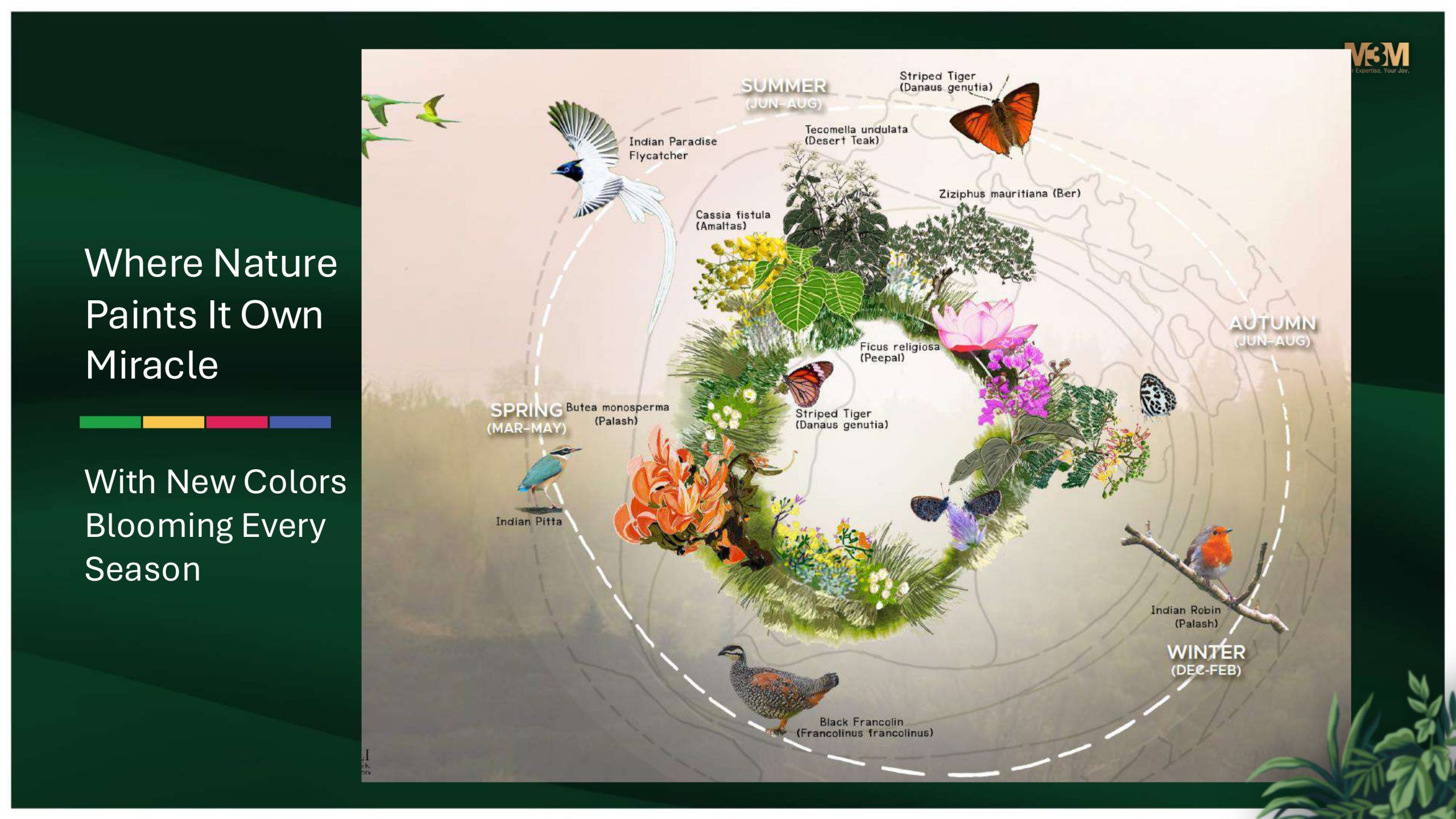 M3M Forestia West, GIC Gurgaon International City 10